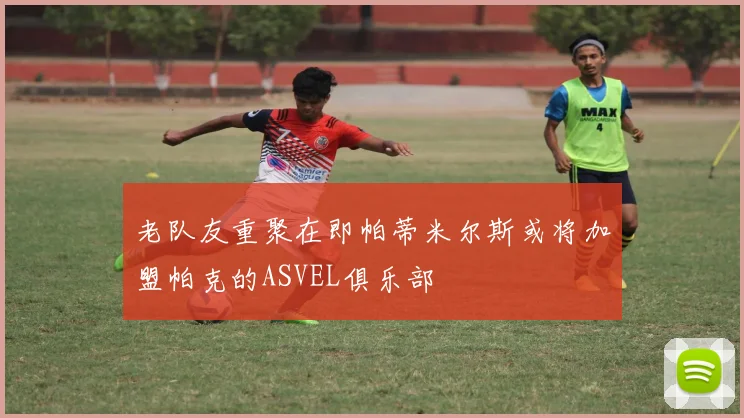 老队友重聚在即帕蒂米尔斯或将加盟帕克的ASVEL俱乐部