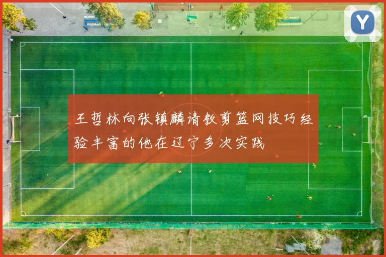 王哲林向张镇麟请教剪篮网技巧经验丰富的他在辽宁多次实践